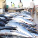 Dar es Salaam master 3