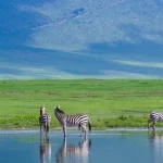 MID-RANGE TANZANIA SAFARI1