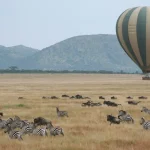 Serengeti Wildebeest Migration4