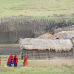 ngorongoro conservation master2