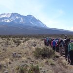 kilimanjaro master