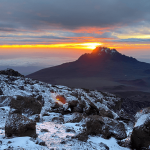 kilimanjaro master