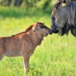 Master migration dec march 1