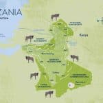 master migration Great 7